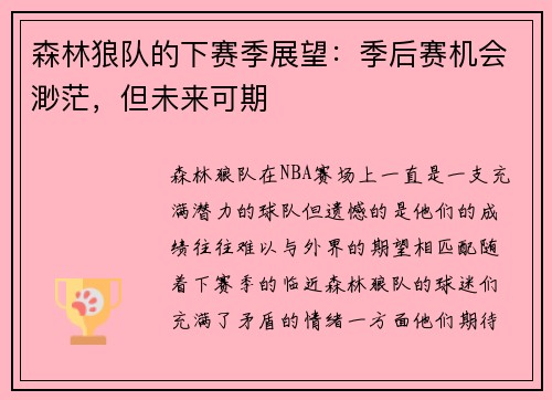 森林狼队的下赛季展望：季后赛机会渺茫，但未来可期
