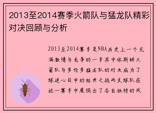 2013至2014赛季火箭队与猛龙队精彩对决回顾与分析